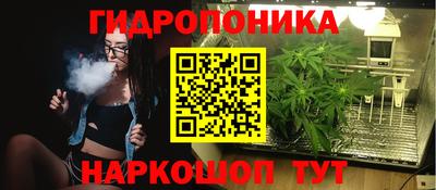 Альфа ПВП Бийск