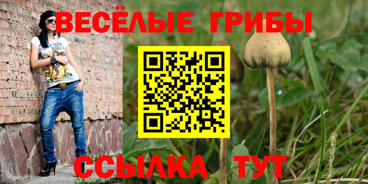 Псилоцибиновые грибы GOLDEN TEACHER Кирово-Чепецк